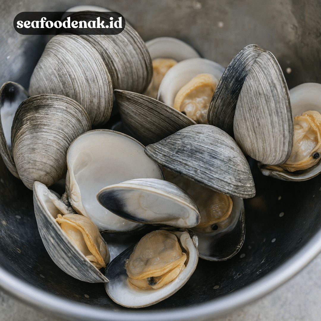 Tips Memilih Kerang Laut Segar agar Tidak Salah Beli
